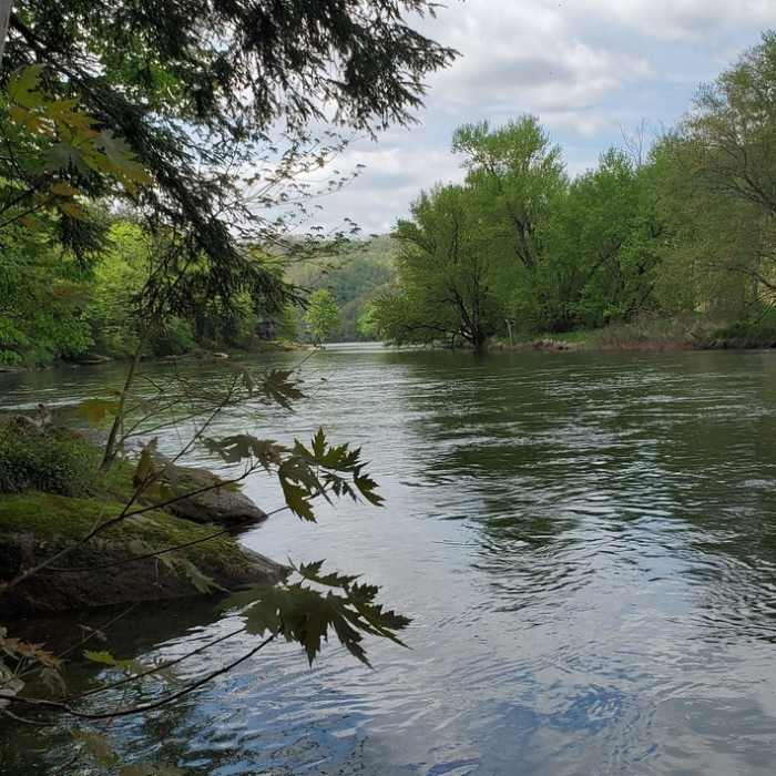 Allegheny River Near Tanbark Trail: Allegheny River Out and Back