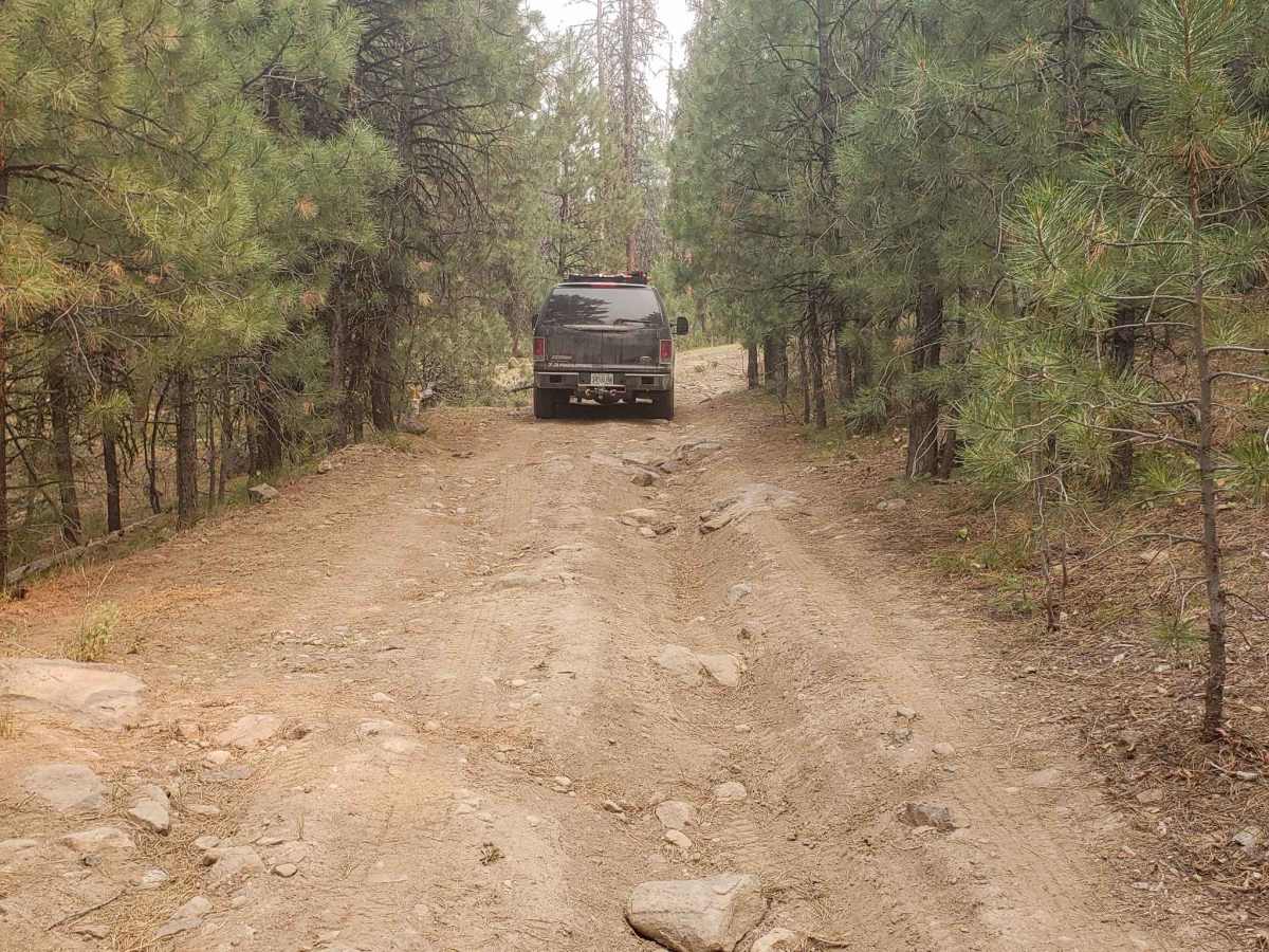 37 Spring Trail photo 3