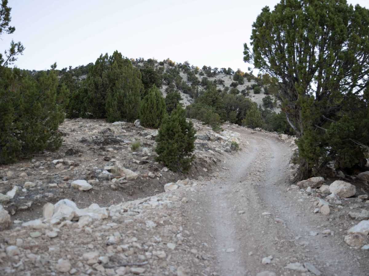 Toll Road to Steve's Pass trail photo
