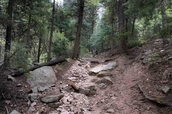 Lion Canyon Trail 1329 