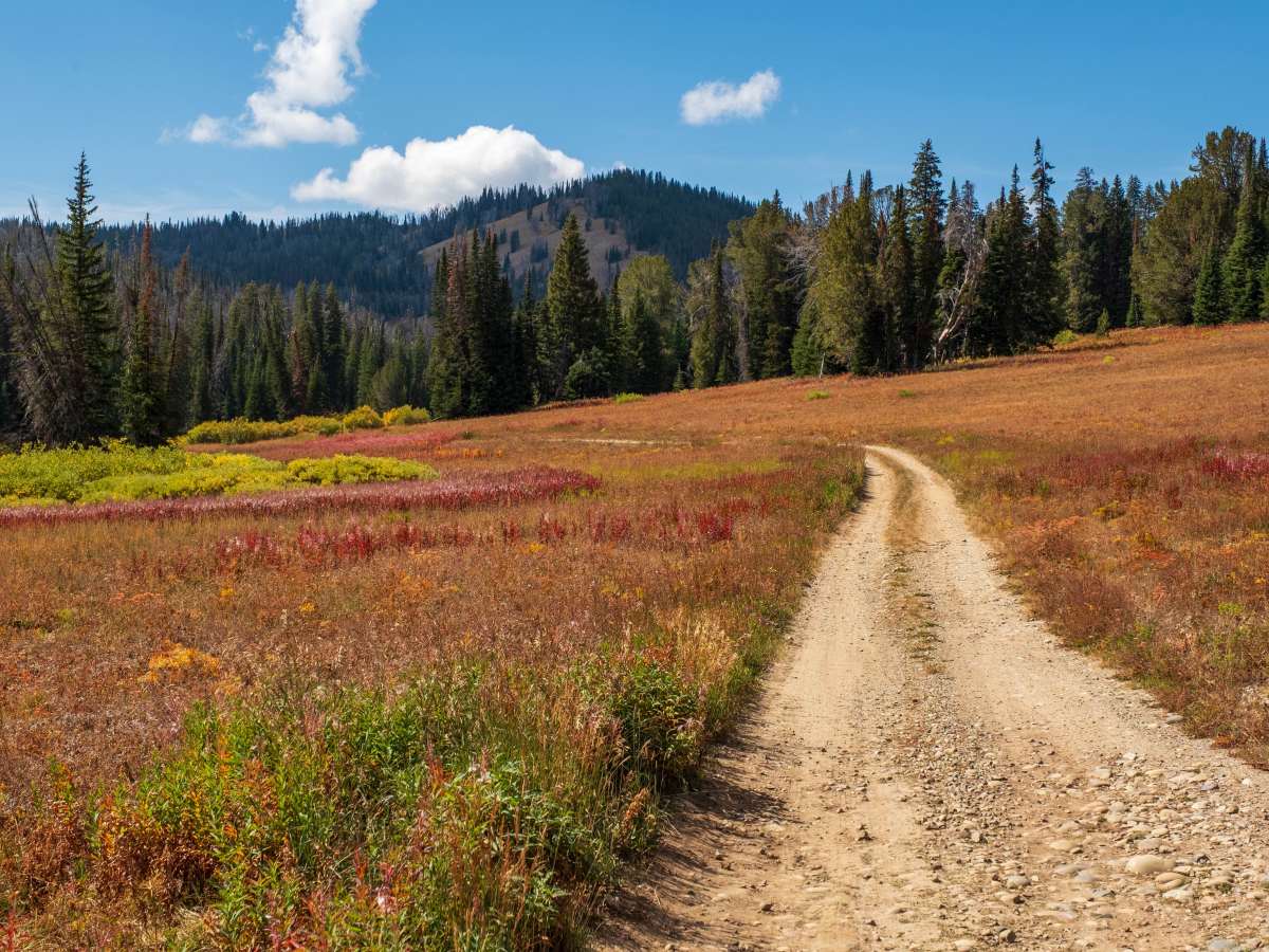 Leidy Lake Road - FS 30250 trail photo