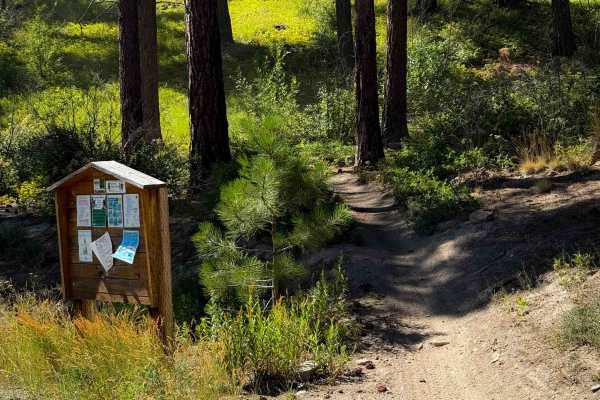 Beehive Trail 1202