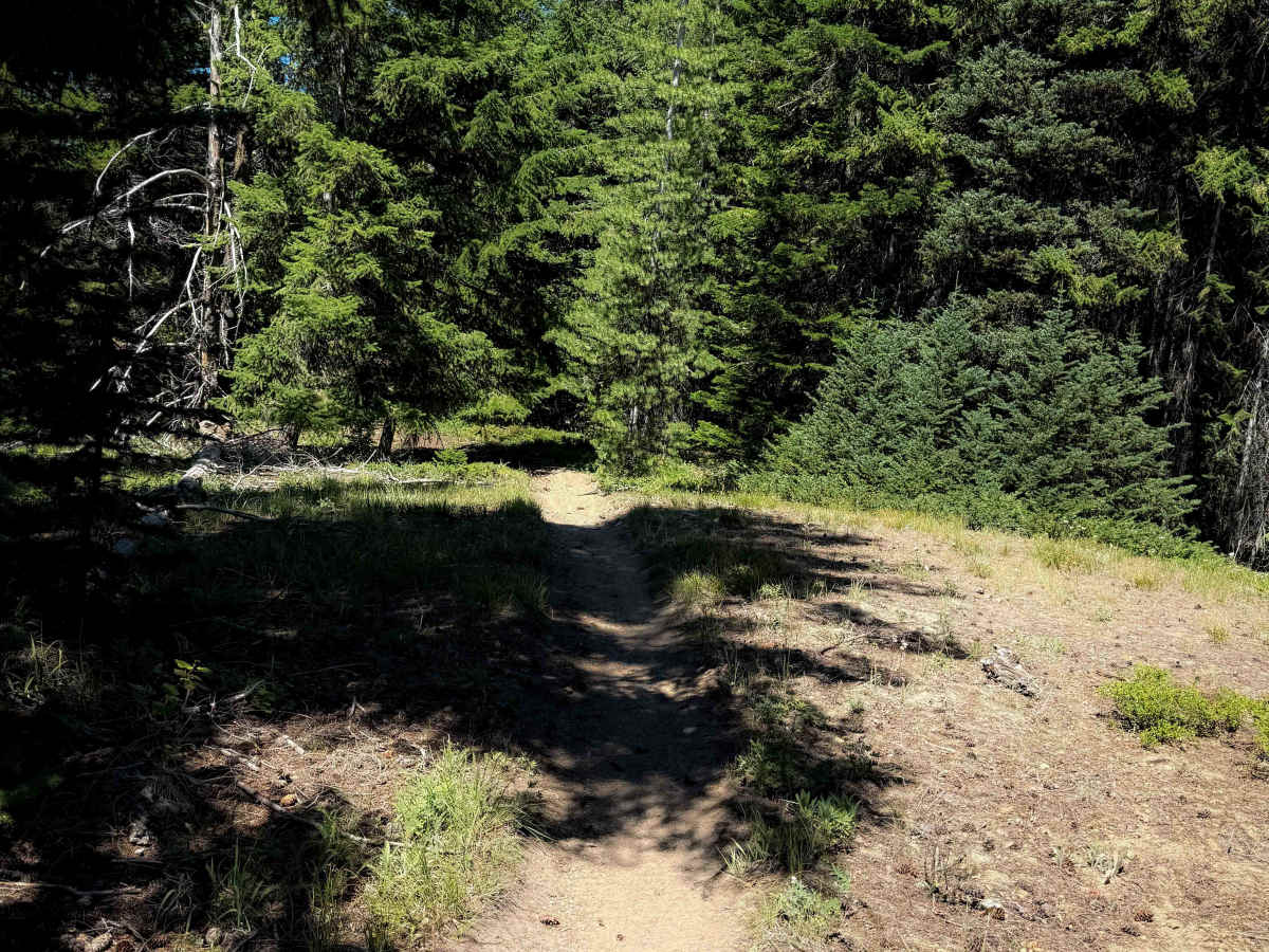 Lightening Point Trail 1377.2  photo 5