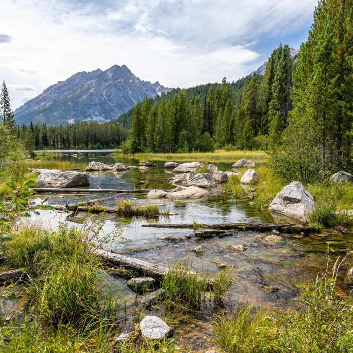 Near Trapper Lake Trail