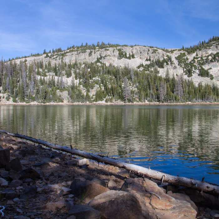 Near Lofty Lake Loop Hike