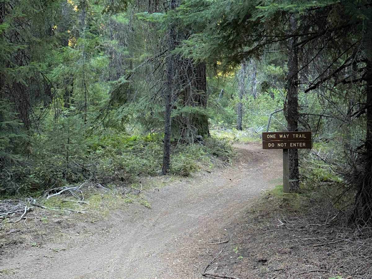 Boring Trail   photo 2