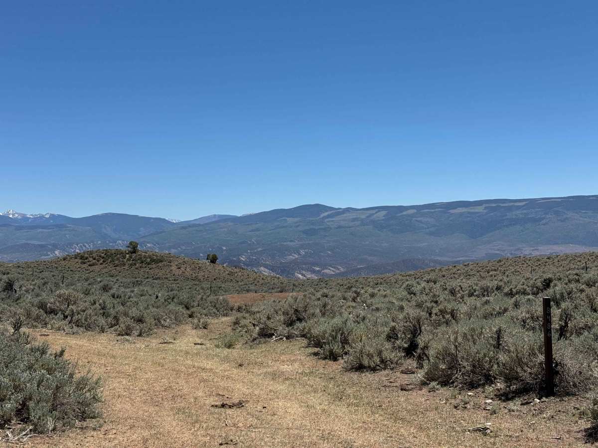 BLM 8486 photo 2