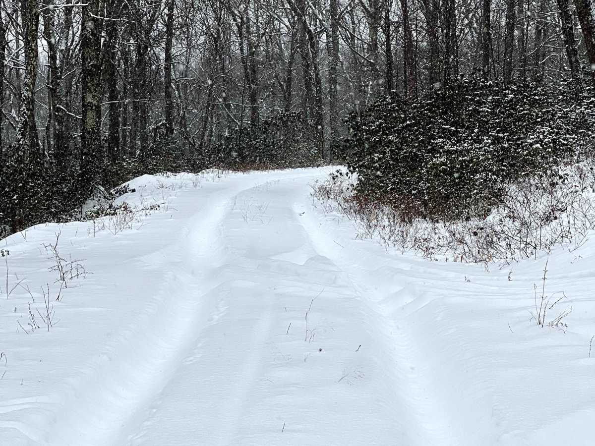 Tin Shanty Spur Trail photo 4