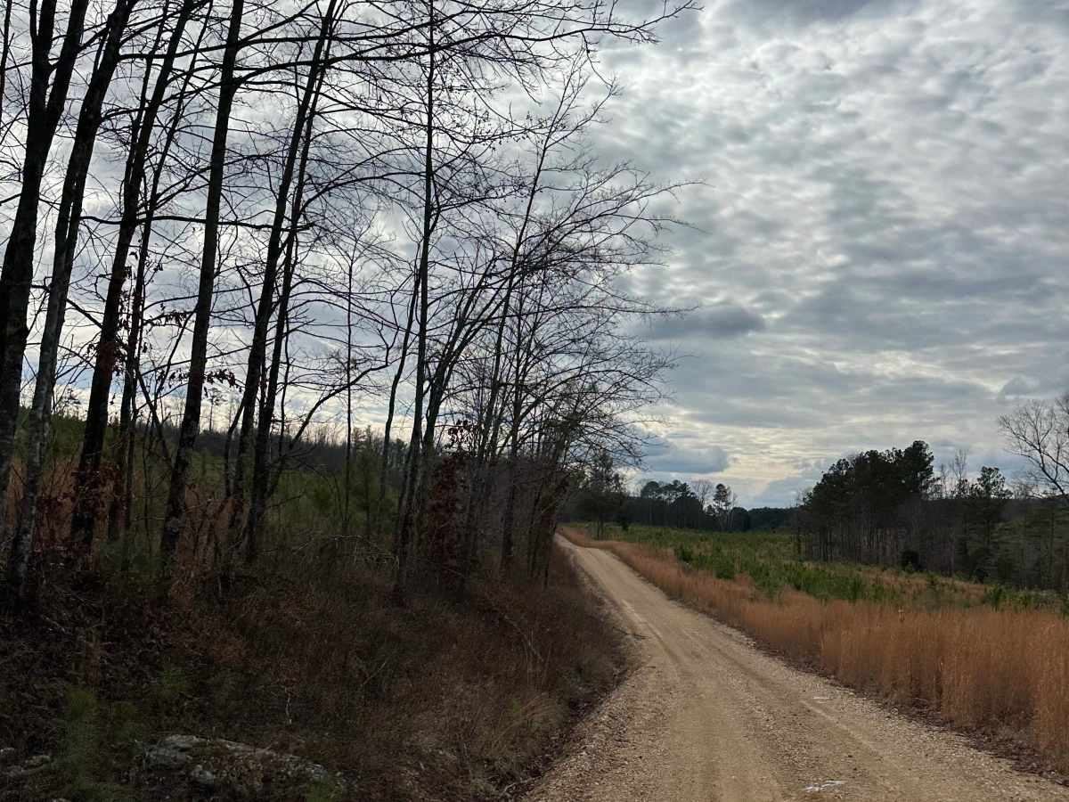 County Road 223 photo 3