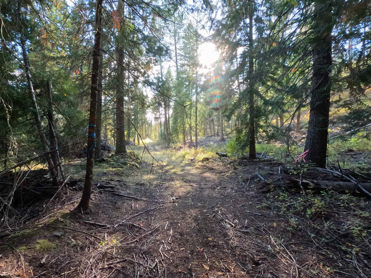FS 1921055 photo 6