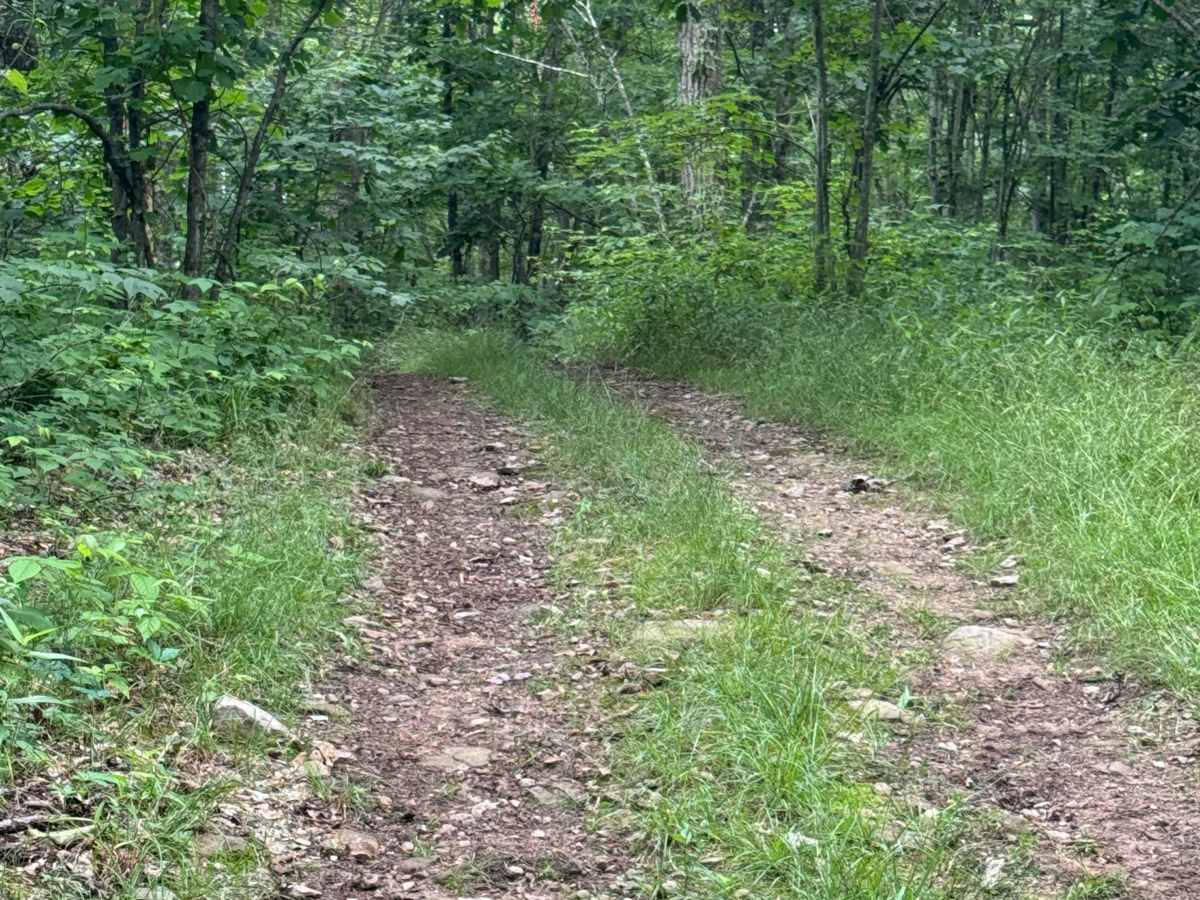 Trail 76 photo 5