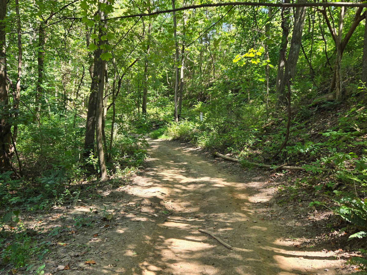 Trail 54  photo 5