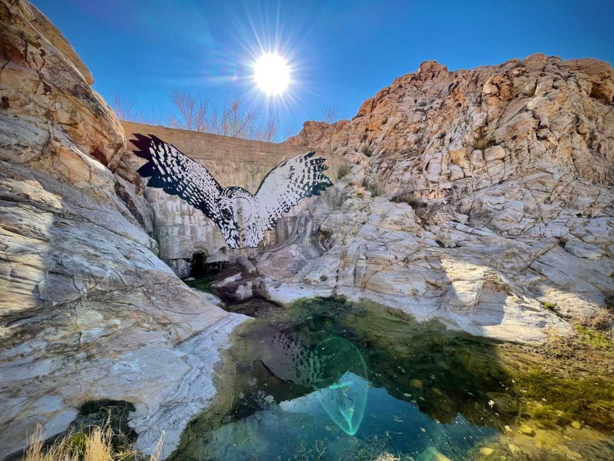 Bitter Springs trail photo