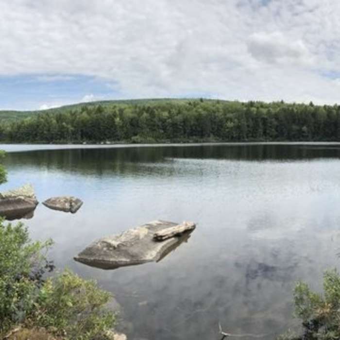 At the end of the trail is beautiful Trout Pond. Perfect place for a picnic. Near Trout Pond Trail