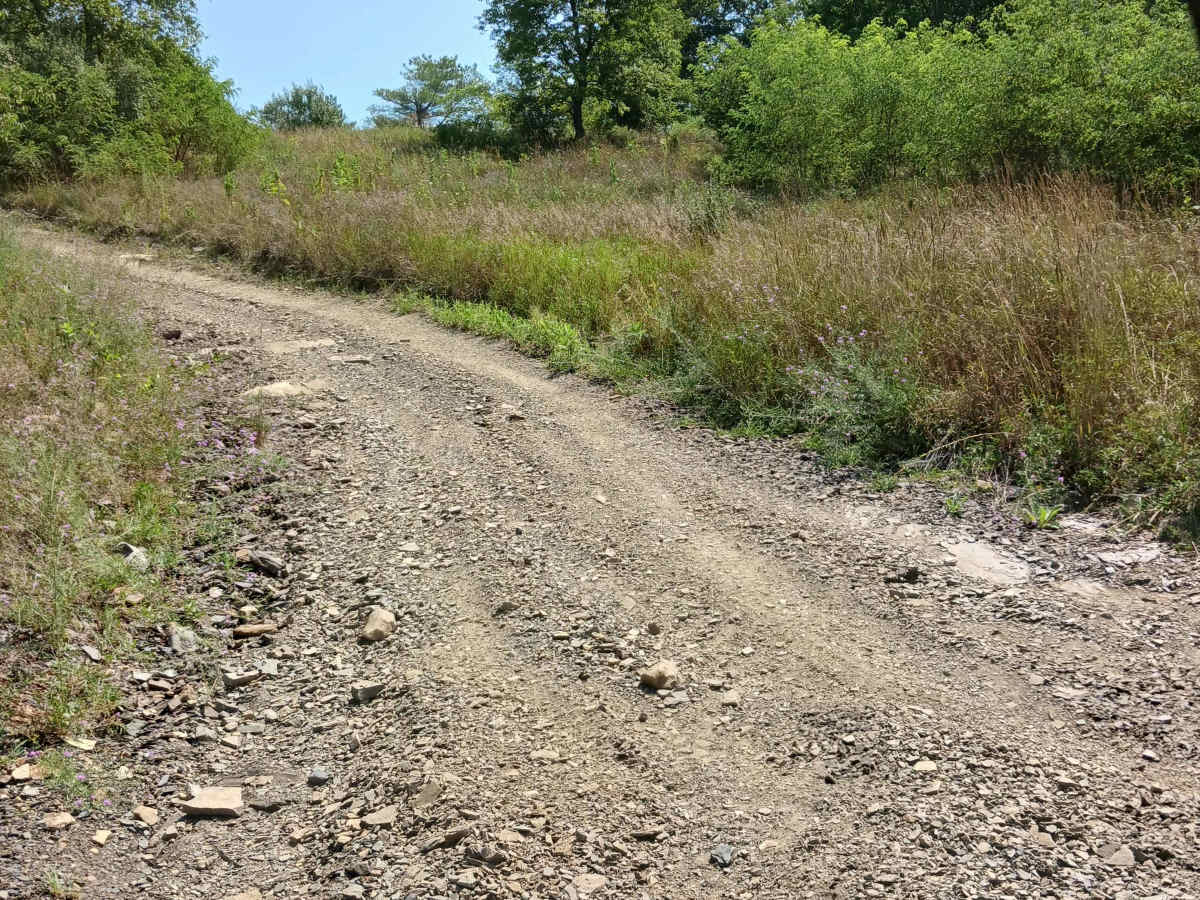 Little Buck Hill - Rock Run Recreation Area trail photo