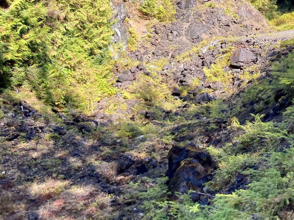 Whale Pass Road - FS 3065000 photo 3