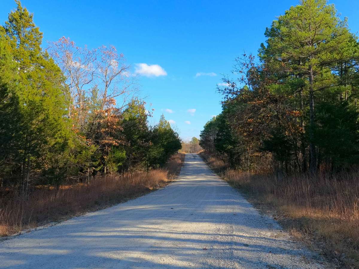 Frank Bay Road - ICR 1 photo 4