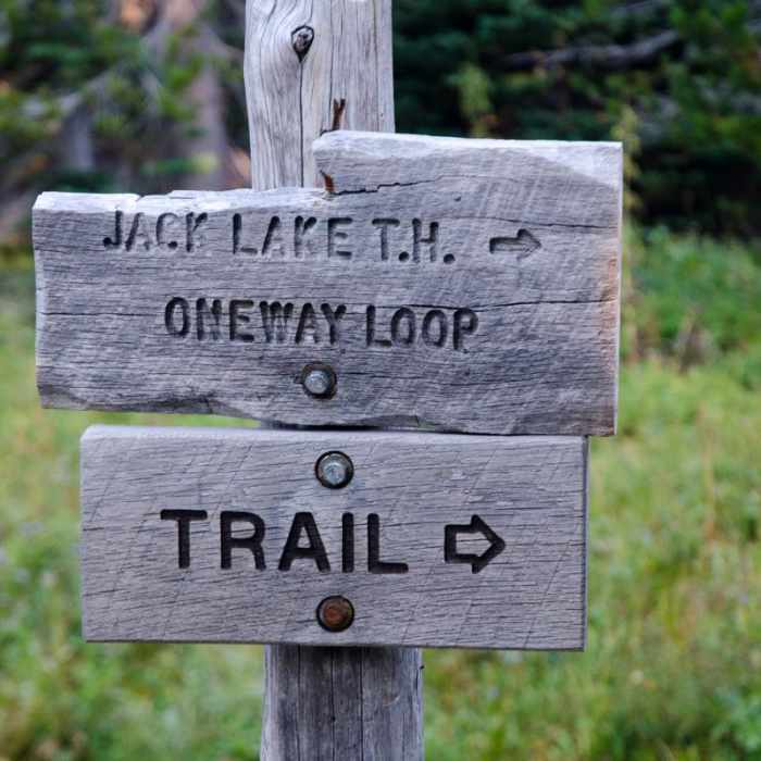 Near Canyon Creek Meadows Near Canyon Creek Meadows