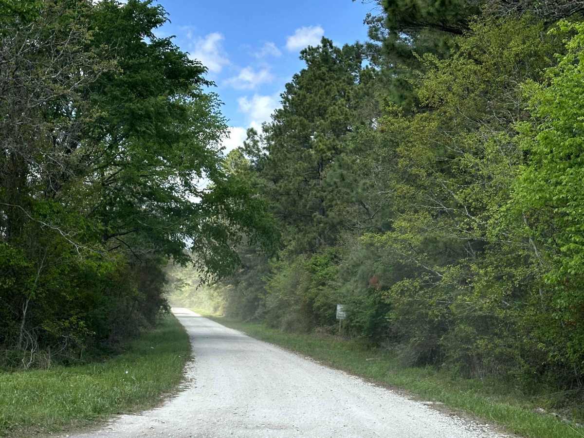 Louisville Road trail photo