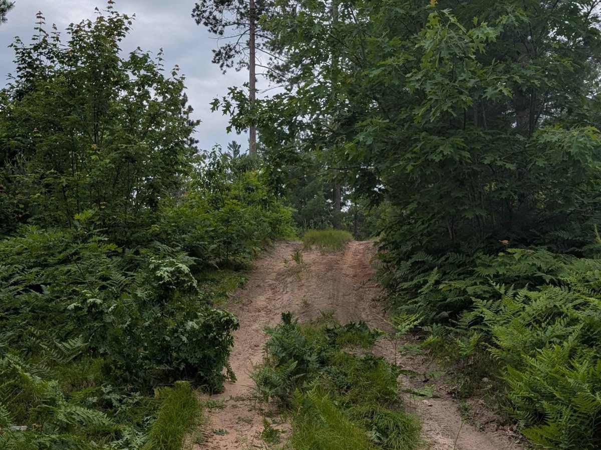 Lindquist Hill Military Trail photo 6