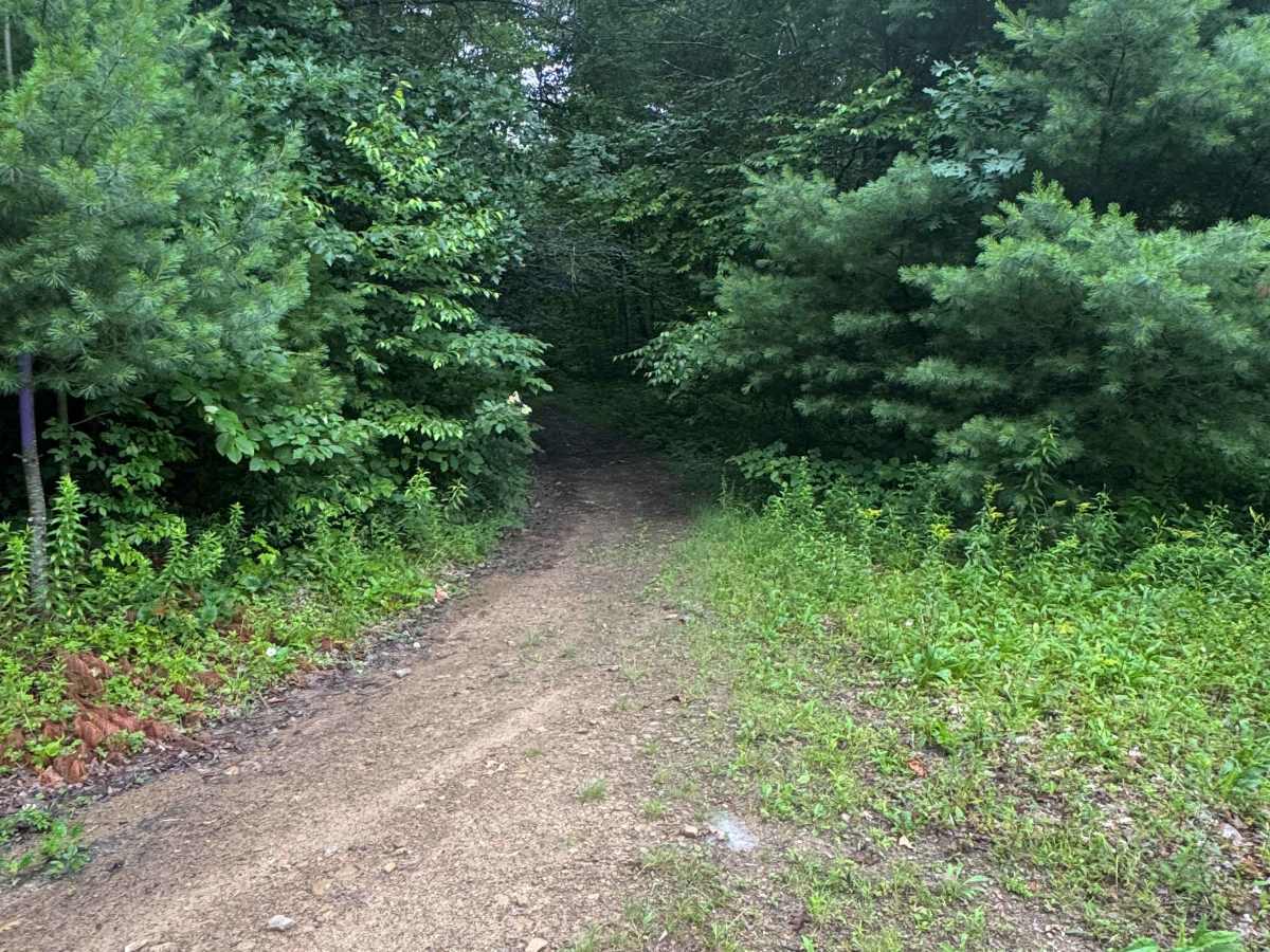 Trail 1 trail photo