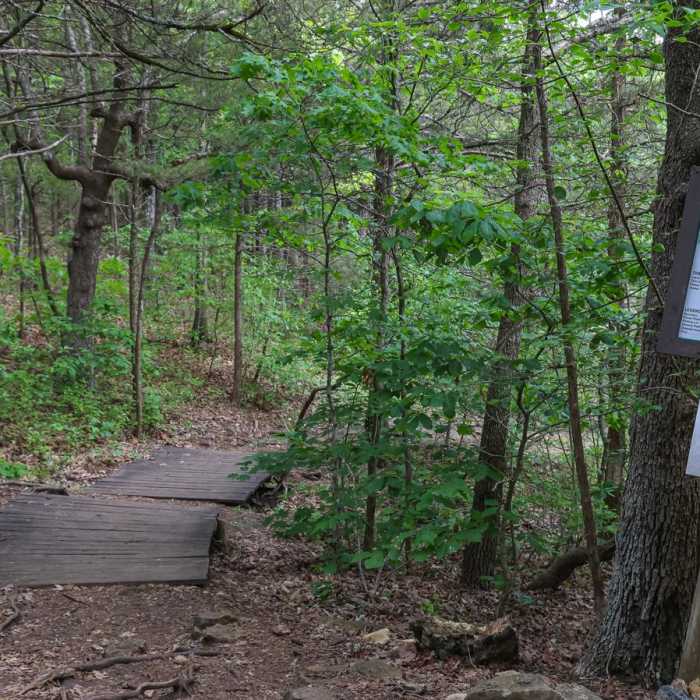 Near Glade Trail Near Glade Trail