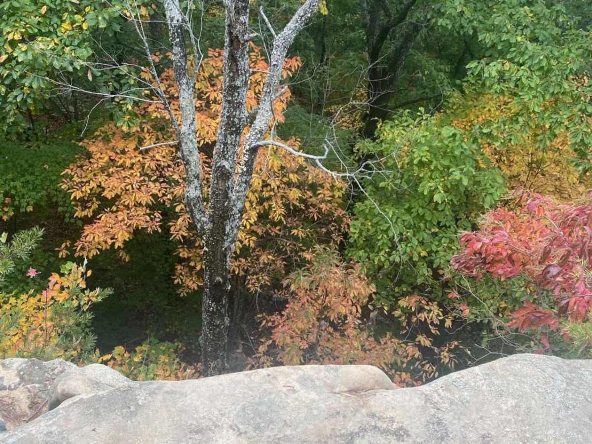 Overlook photo 2