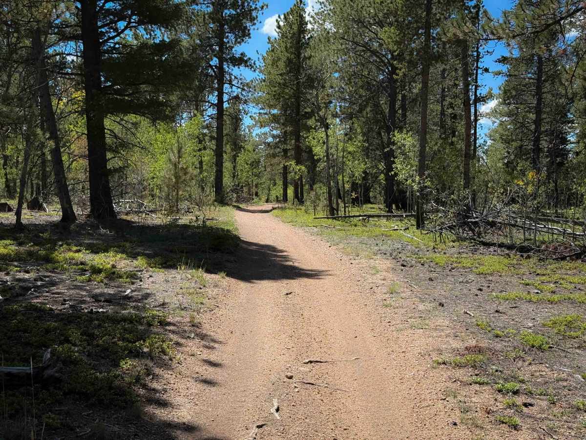 Beaver Creek Trail 732  photo 3