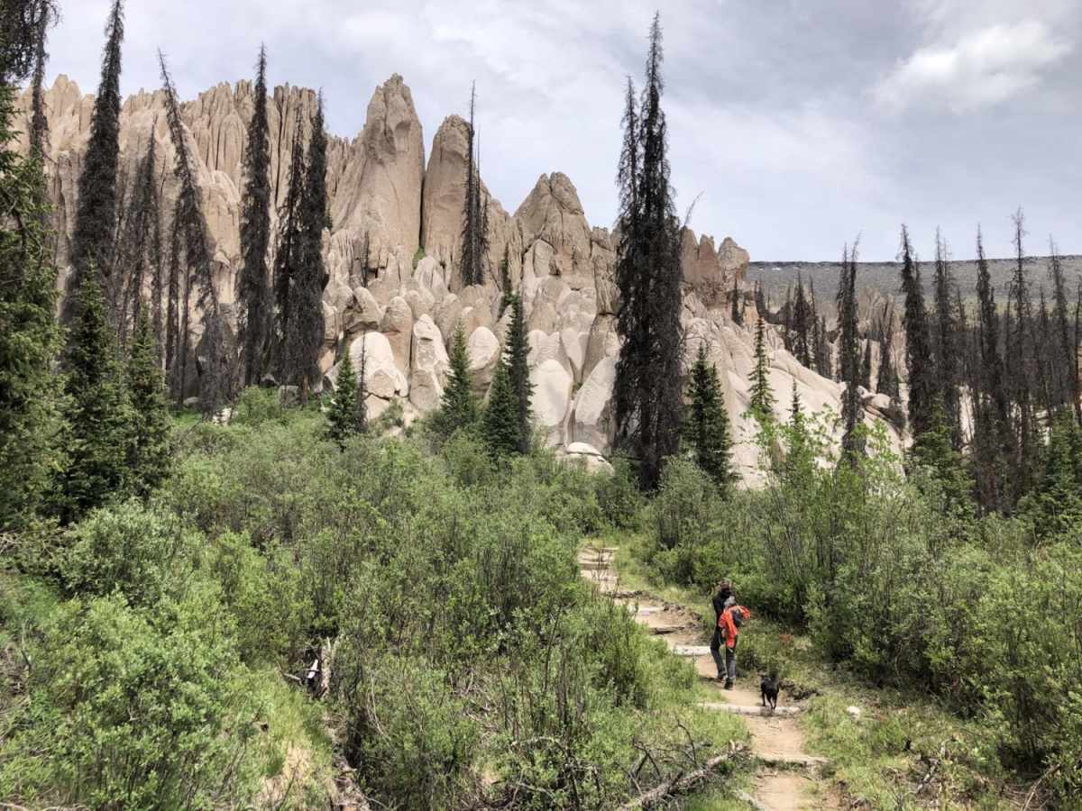 Wheeler Geologic - via Alder Creek (FS610) photo 2
