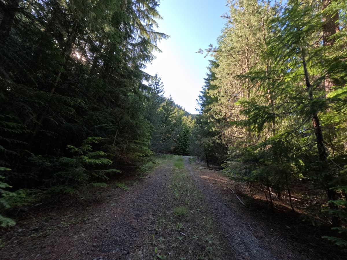 Klingers Camp Road - FS 3530240 photo 6