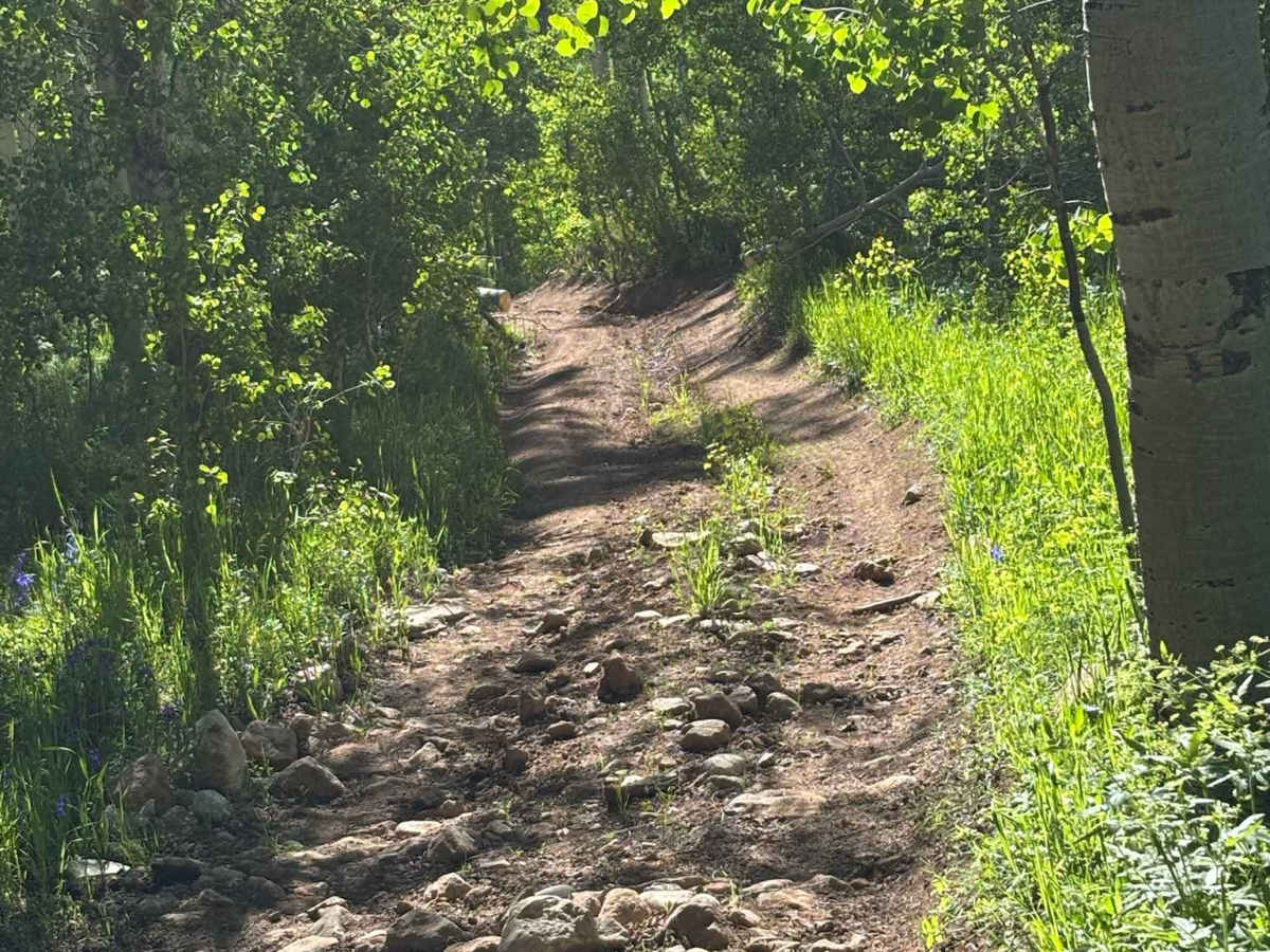 Corral Point Road photo 5