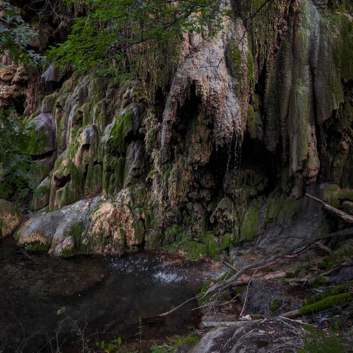 Near Gorman Spring Trail