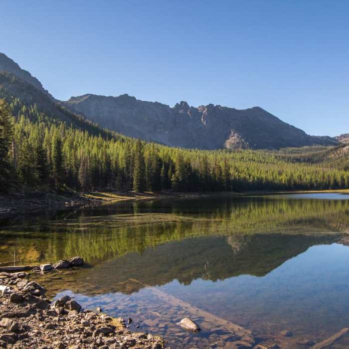Near Strawberry Mountain Wilderness Loop