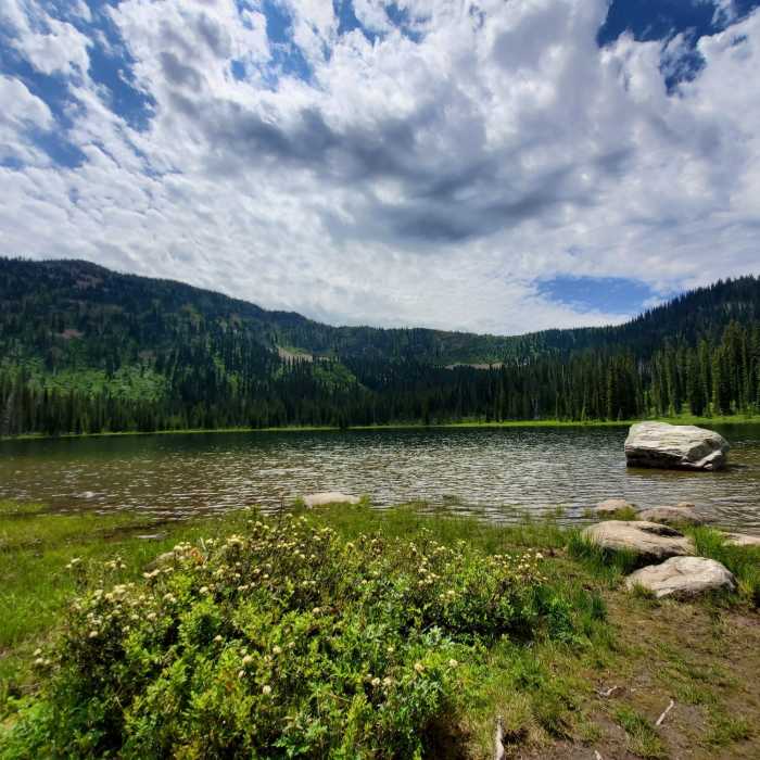 Near Moose Mountain Loop