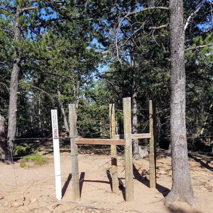 Near Nelson's Trail (#672)