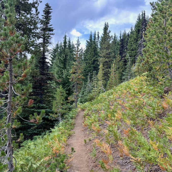 Near South Matthieu Lake via Scott Pass Trailhead