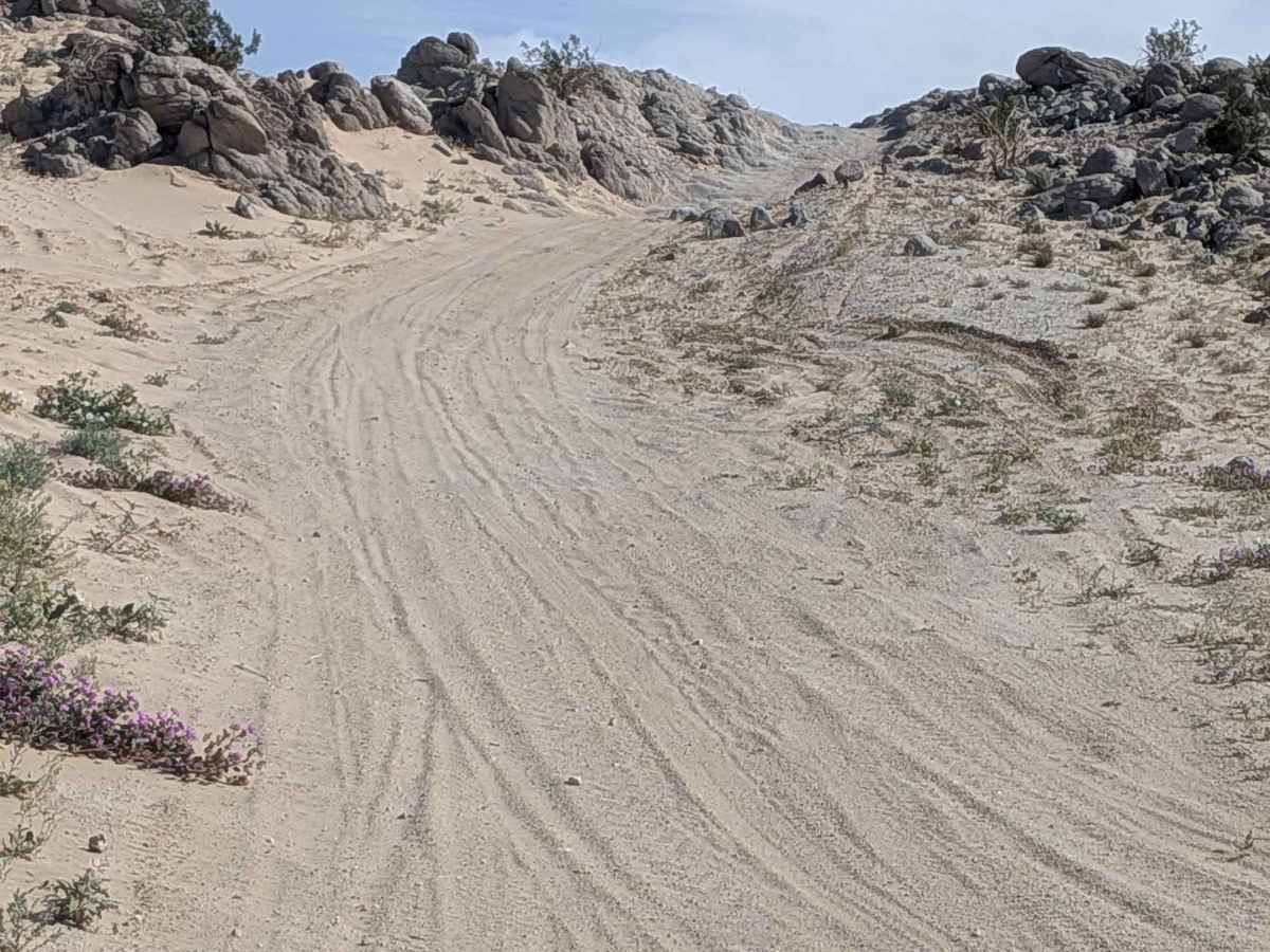 Lady Lucky trail photo