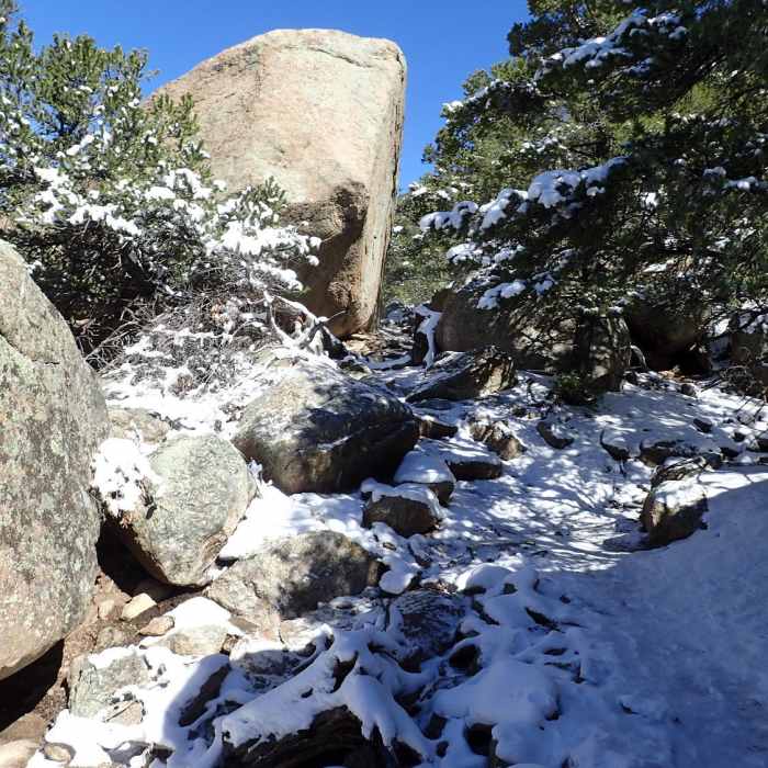 Near Midland Hill Trail (6032)