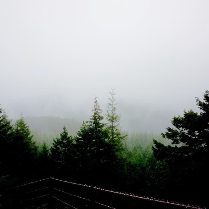 Near Green Mountain Loop