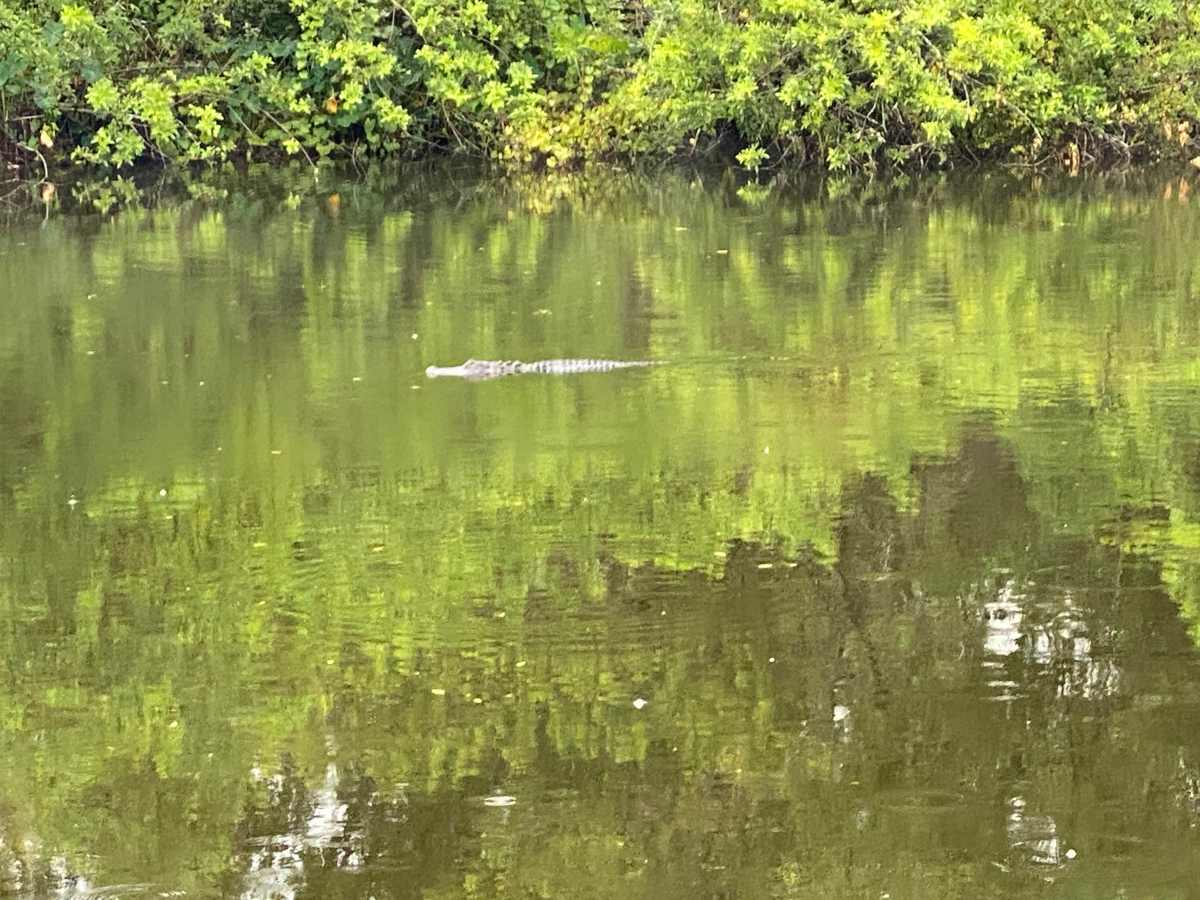 Paddling Trail Road photo 3