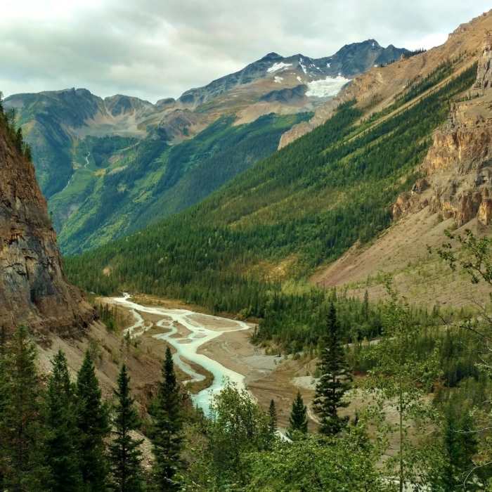 Looking down the Robson River Valley from near the bottom of the Valley of a Thousand Falls. Near Berg Lake Trail