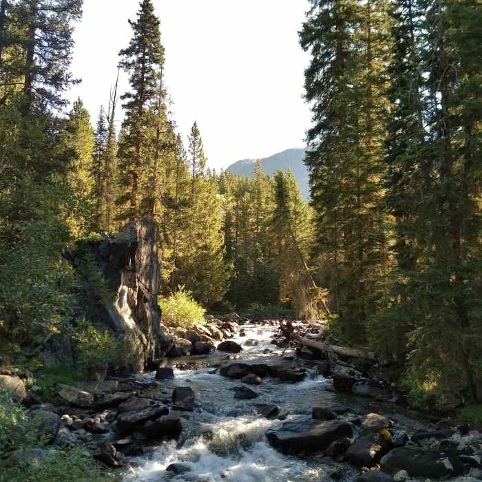 Near Crows Nest Lookout Trail