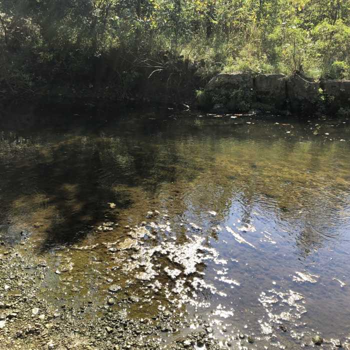 Near Creekside Reserve Loop Trail