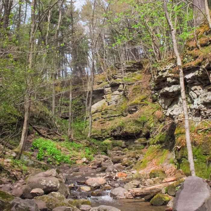 Near Parfrey's Glen Natural Area Near Parfrey's Glen Natural Area