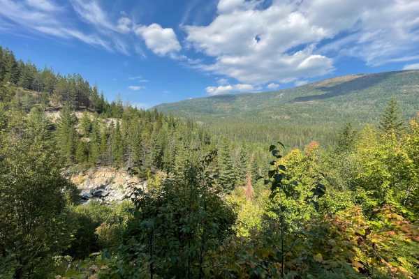 Jeru Creek Loop