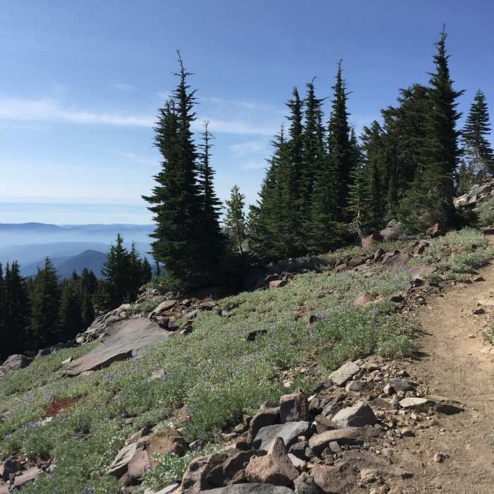 Near Brokeoff Mountain Trail