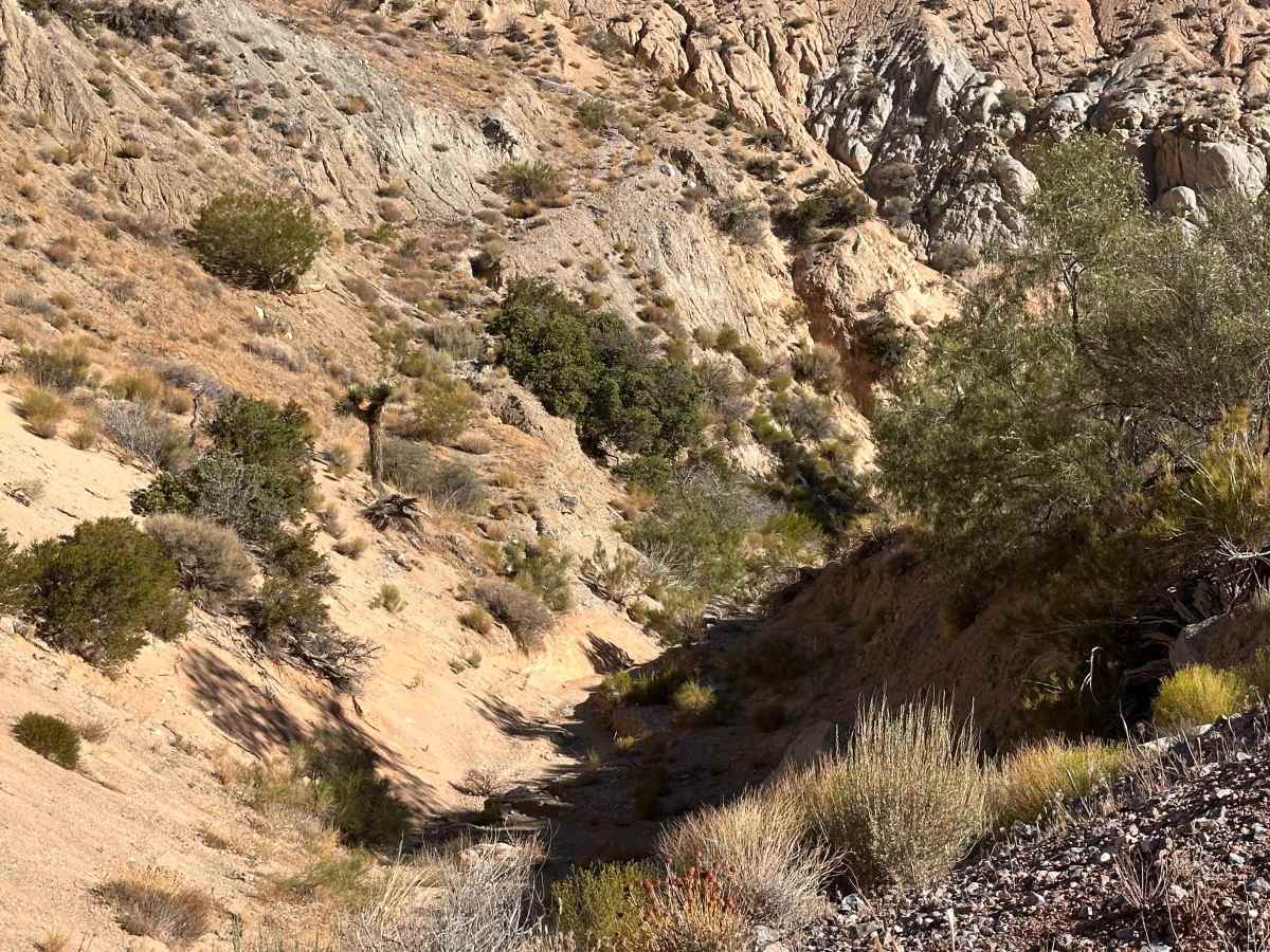 Cholla Pass photo 3