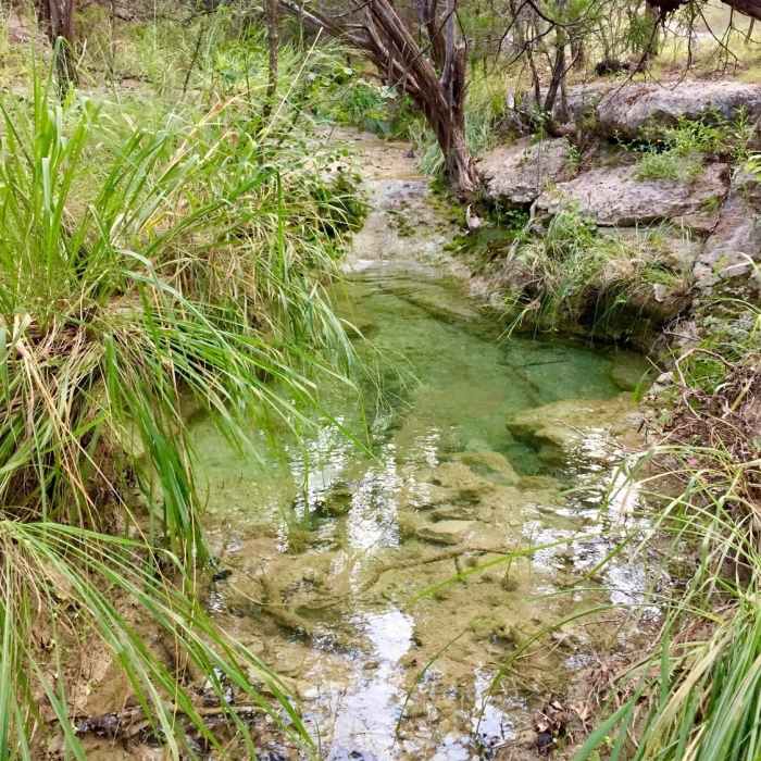 Near Lakeside Greenbelt Trail