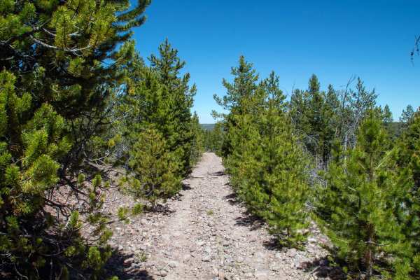 Ridge Road - FS 80076