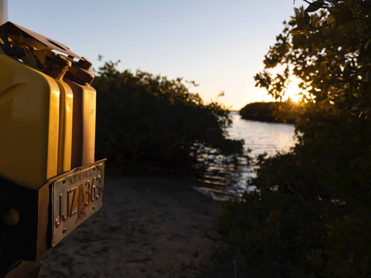 Mangrove Fishing trail photo